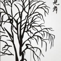 VE_34