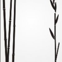 VE_35