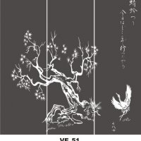 VE_51