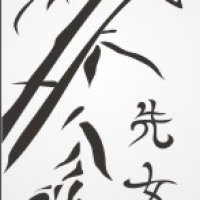 VE_52